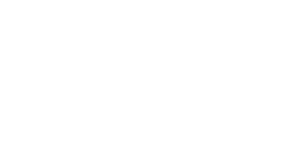 EagleEyes Tax